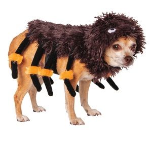🆕 Spider 🕷 Halloween Pet Costume, Size X-Small